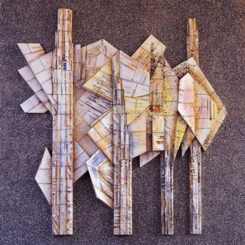 見樹又見林圖片